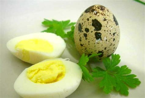 Польза перепелиных яиц на мужскую потенцию